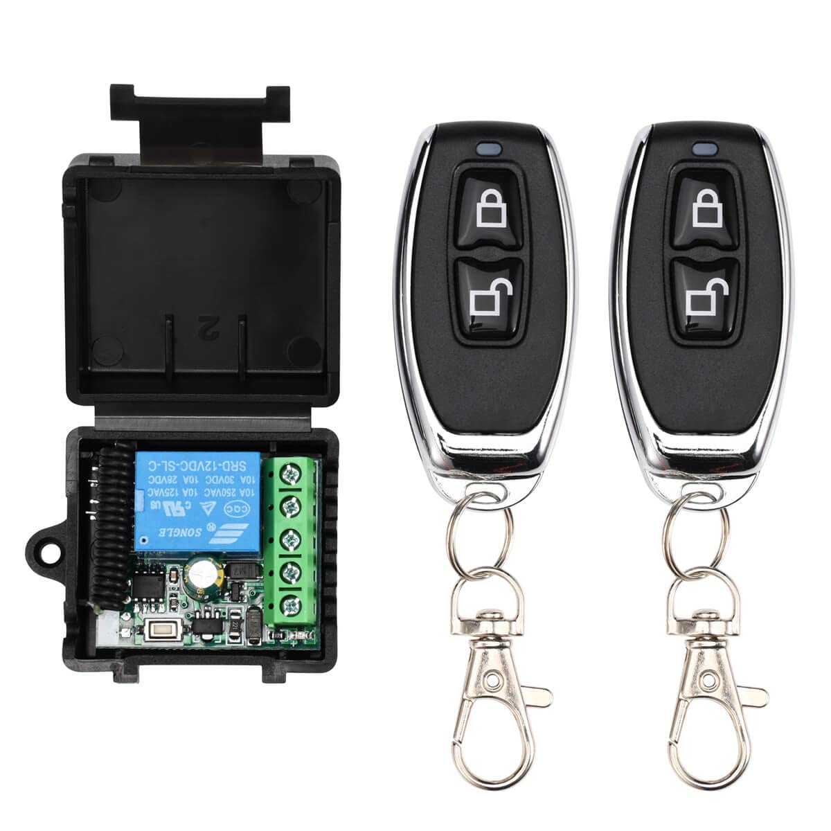 REMOTE ACCESS DOOR